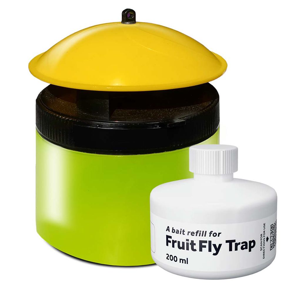 AF Fruit fly trap